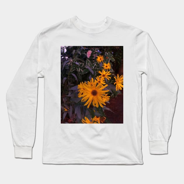 Daisy Dream Long Sleeve T-Shirt by GhostFlowerDesigns